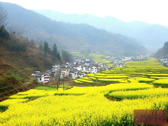 山村春情山村春情