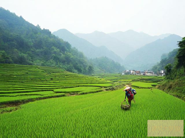 采药之旅，探寻自然之宝