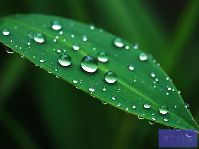 雨后的小故事动态图片雨后小故事