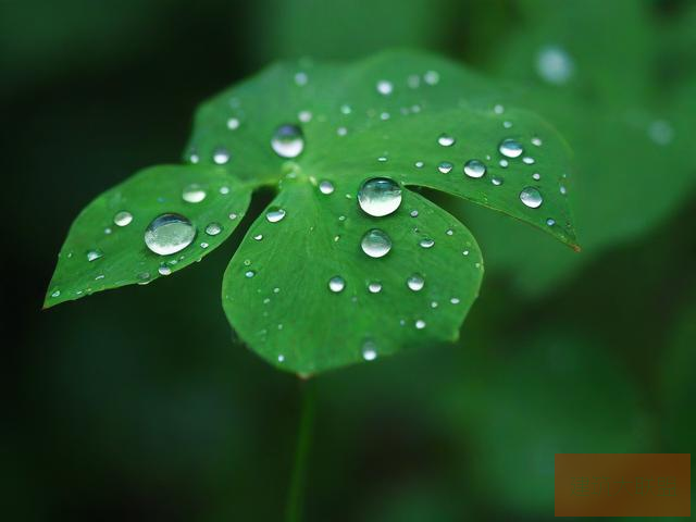 雨后的小故事动态图片雨后小故事