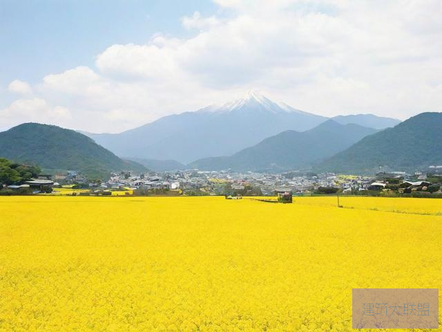 日本特黄特色视频日本特黄特色视频介绍